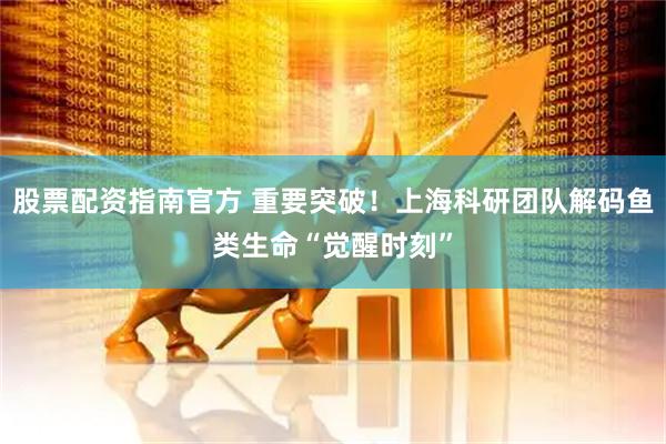 股票配资指南官方 重要突破！上海科研团队解码鱼类生命“觉醒时刻”